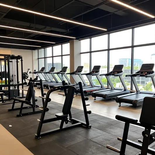 Academia Musculação Alpha Gym