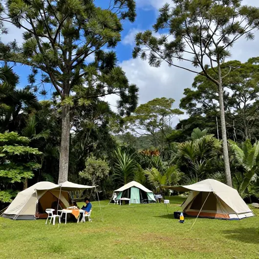Camping Família Catarina: O Destino Perfeito para suas Férias