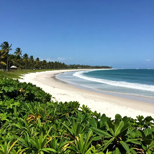 Descubra a Beleza da Praia de Palmas