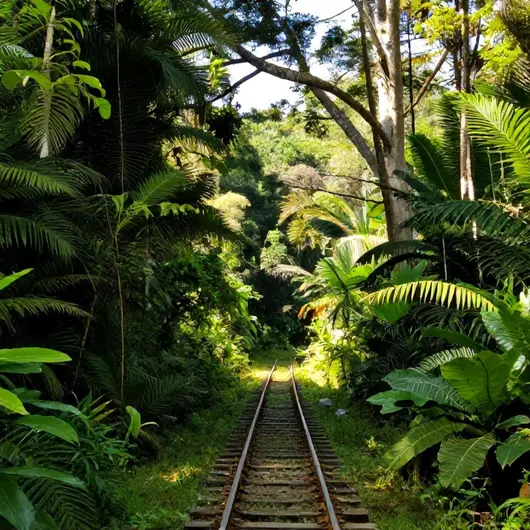 Descubra a Estação Natureza