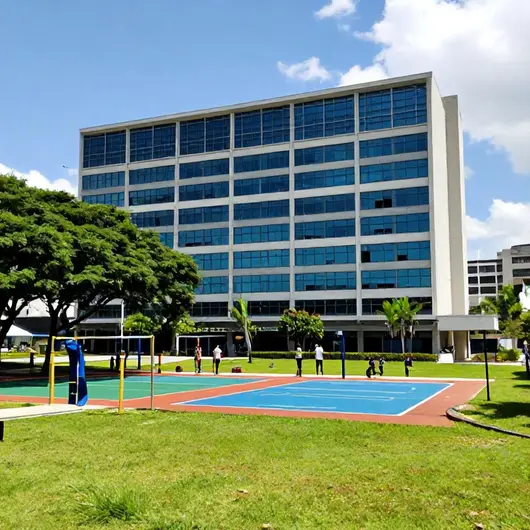 Descubra a Fundação Municipal de Esportes e Lazer de São José Descubra a Fundação Municipal de Esportes e Lazer de São José