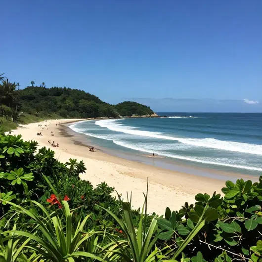 Descubra a Praia do Gravatá Descubra a Praia do Gravatá