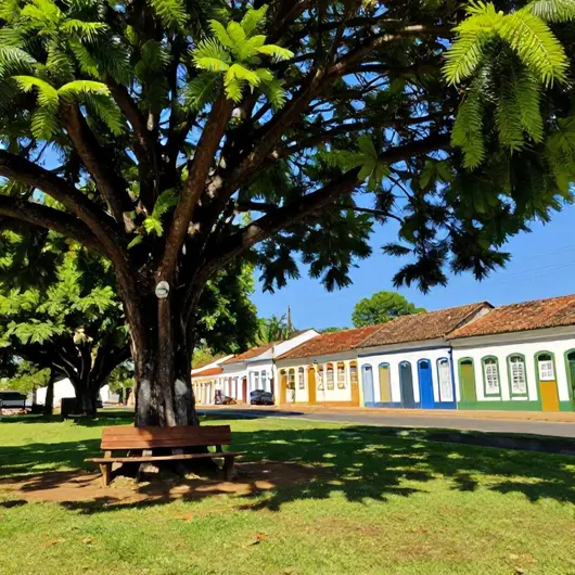 Descubra o Encanto de Madê