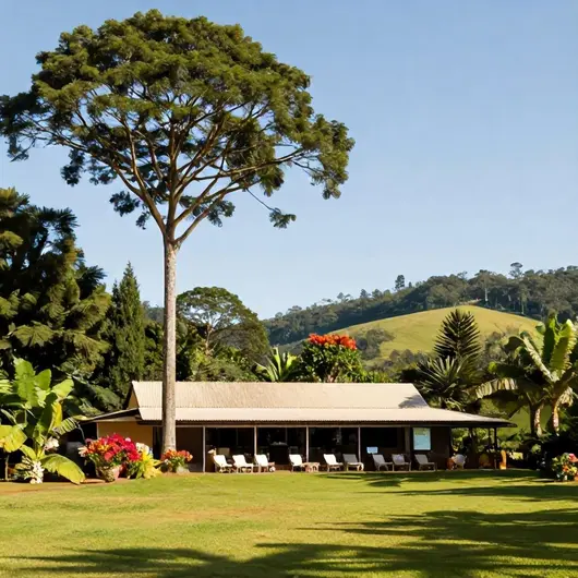 Descubra o Hotel Fazenda Rosablue