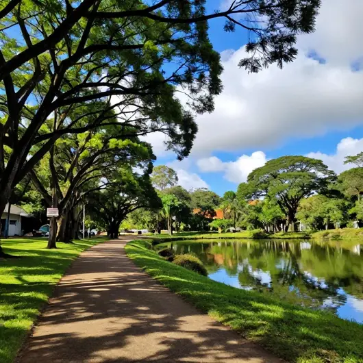 Descubra o Passeio Primavera Descubra o Passeio Primavera