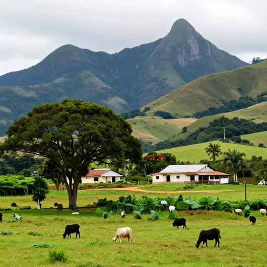 Guia de turismo rural em Santa Catarina: 11 opções para se encantar