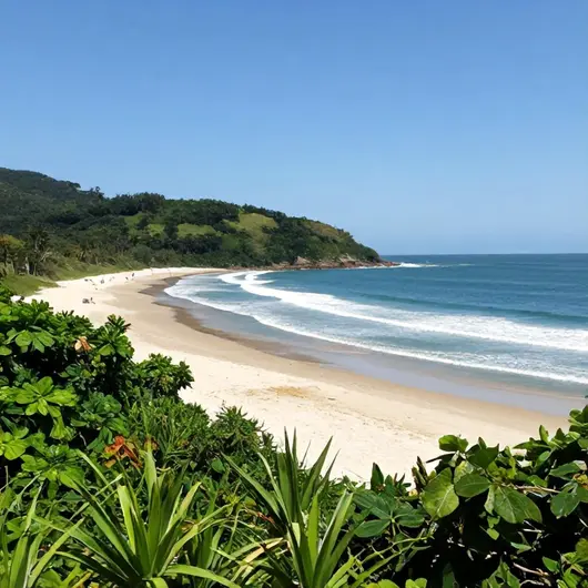 Praia Barra do Sul: Um Refúgio Secreto em Santa Catarina Praia Barra do Sul: Um Refúgio Secreto em Santa Catarina